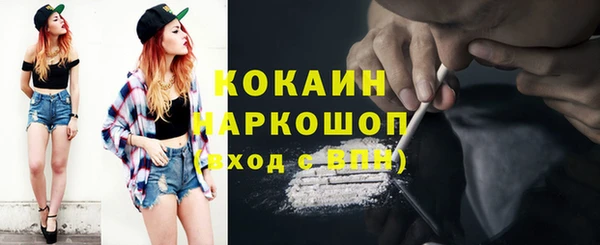 винт Гатчина