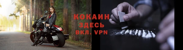 винт Гатчина
