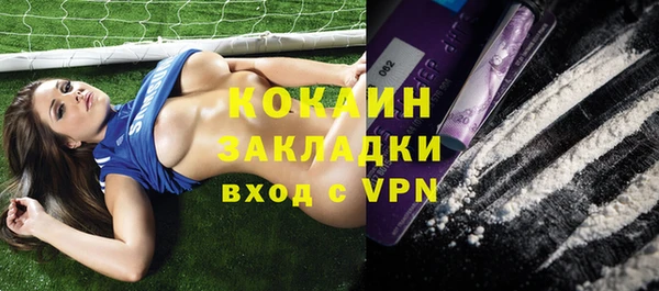 винт Гатчина