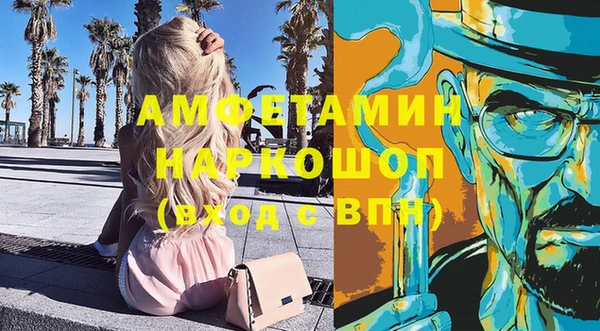 прущие грибы Галич