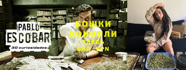 ALPHA PVP Осинники