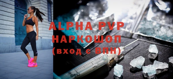 прущие грибы Галич