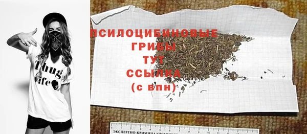 прущие грибы Галич