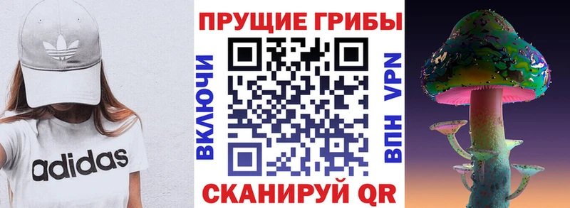 Галлюциногенные грибы Magic Shrooms  Ясногорск 