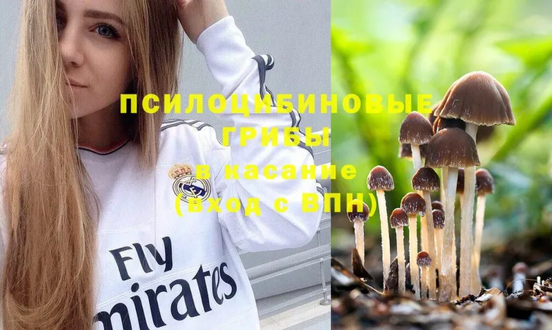 Псилоцибиновые грибы Magic Shrooms  Ясногорск 